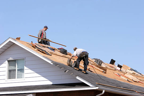 Best Green or Eco-Friendly Roofing Solutions  in USA